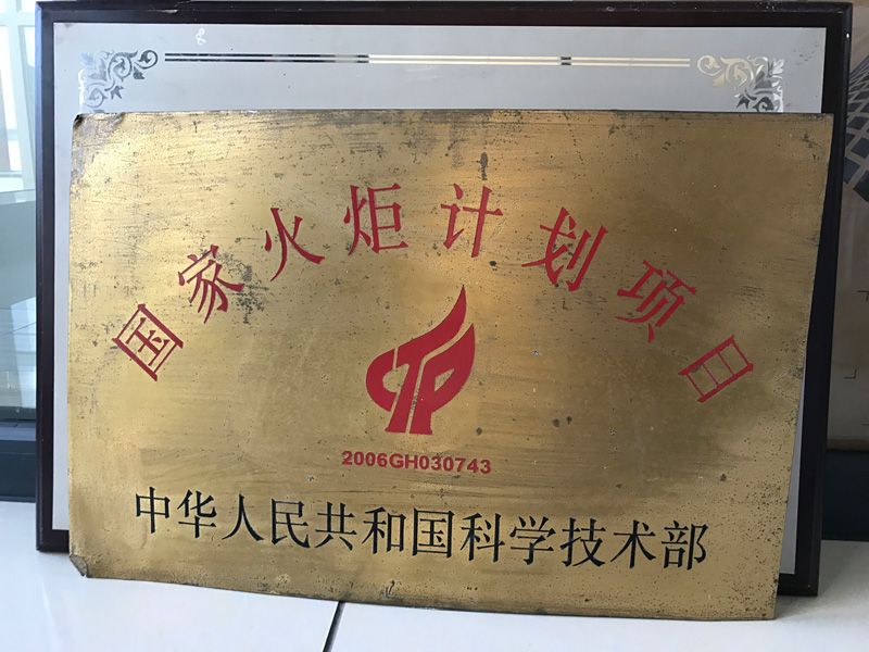 National Torch Program Project